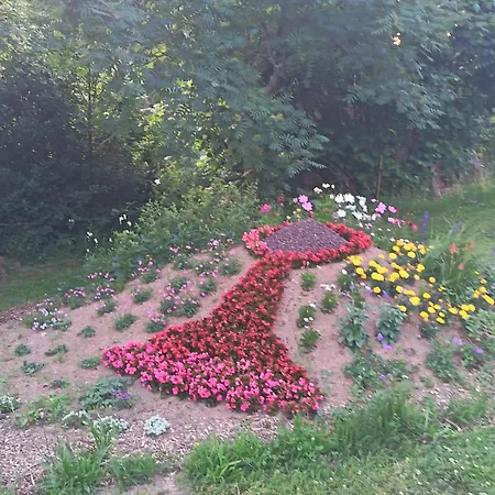 Апартаменты Basilic, 4 Pers. Saint Antoine, Orcival, Sancy Auvergne