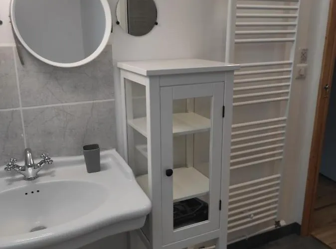 Апартаменты Basilic, 4 Pers. Saint Antoine, Orcival, Sancy Auvergne *