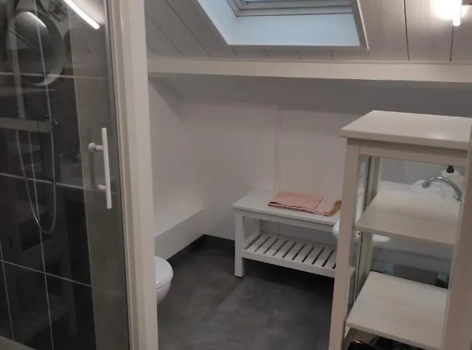 Basilic, 4 Pers. Saint Antoine, Orcival, Sancy Auvergne