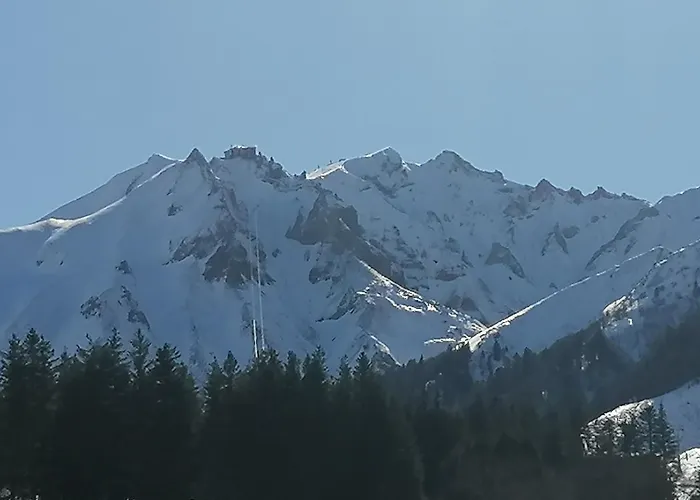 Апартаменты Basilic, 4 Pers. Saint Antoine, Orcival, Sancy Auvergne Орсиваль