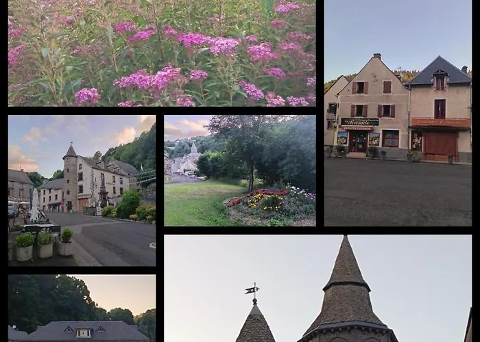 Апартаменты Basilic, 4 Pers. Saint Antoine, Orcival, Sancy Auvergne *